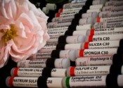 Un caso di impetigine pediatrica risolta con il rimedio omeopatico Borax 